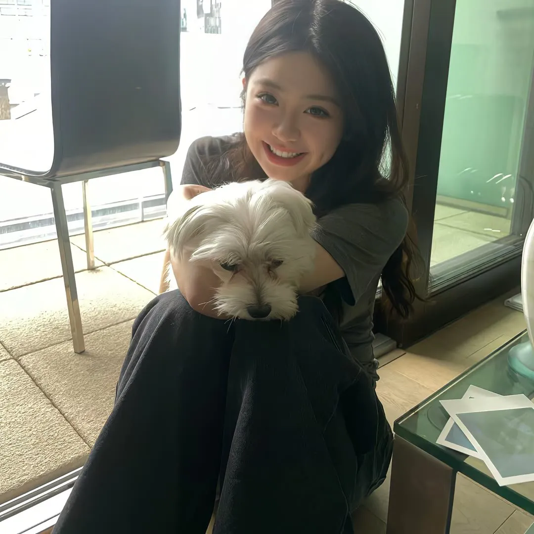 今晚是寿喜烧哦